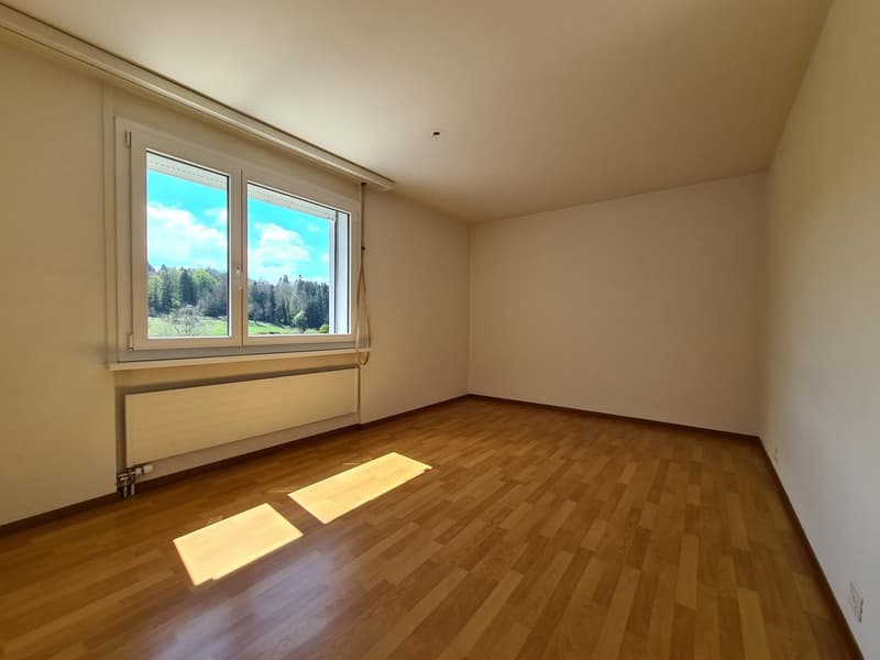 Helle & offene 3.5 Zimmerwohnung in Schmitten (5)