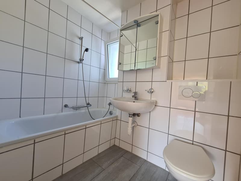Helle & offene 3.5 Zimmerwohnung in Schmitten (6)