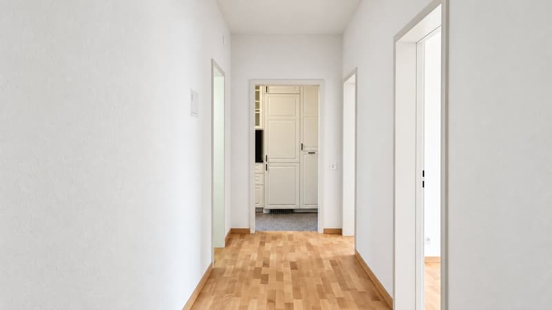 Frisch sanierte Jugendstilwohnung im Beaumont (9)