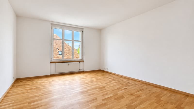 Frisch sanierte Jugendstilwohnung im Beaumont (6)