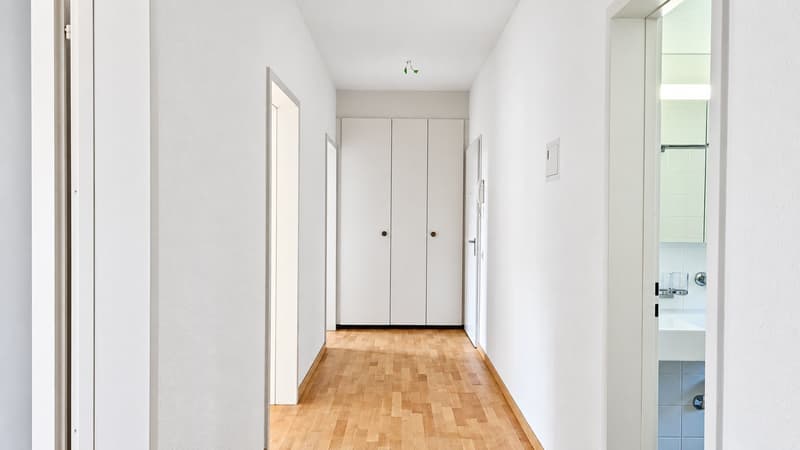 Frisch sanierte Jugendstilwohnung im Beaumont (8)