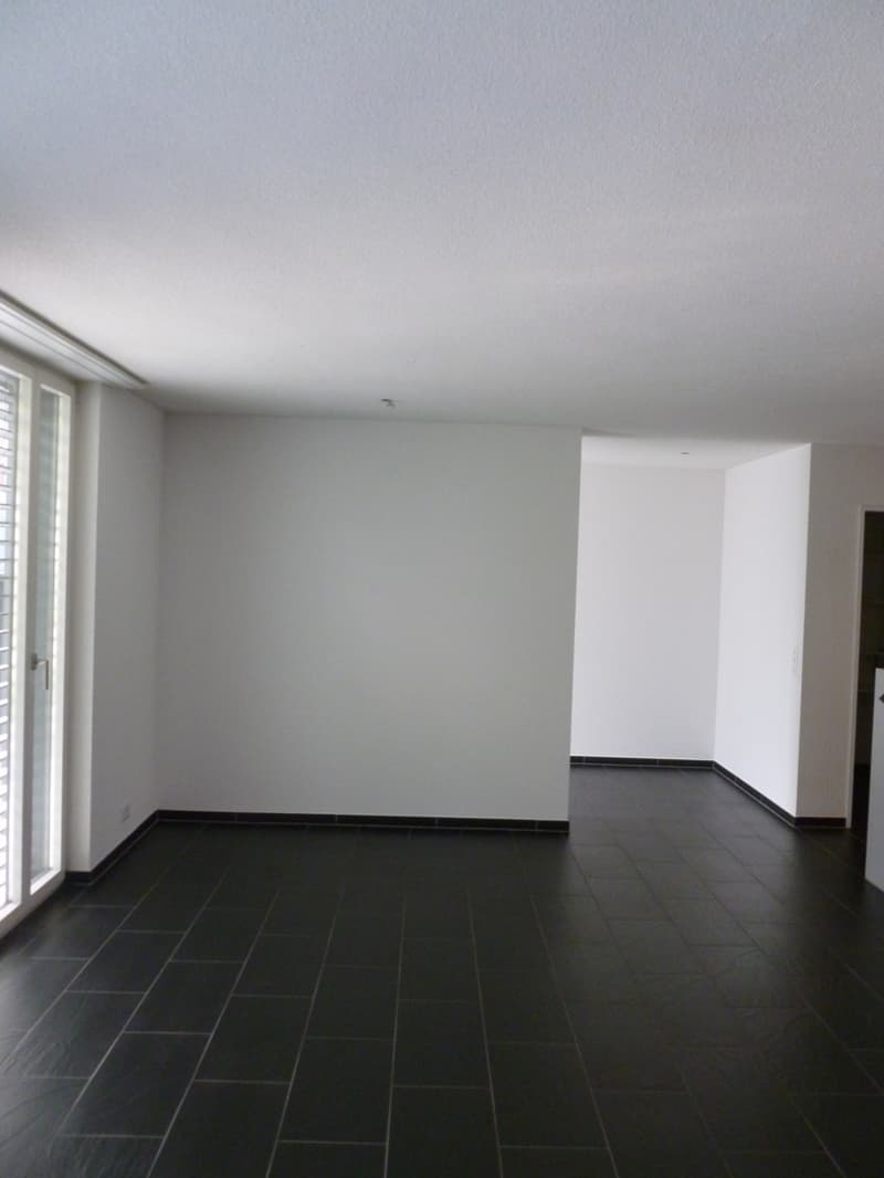 Ruhige 4.5 Zimmerwohnung mitten in Frick zu vermieten (4)