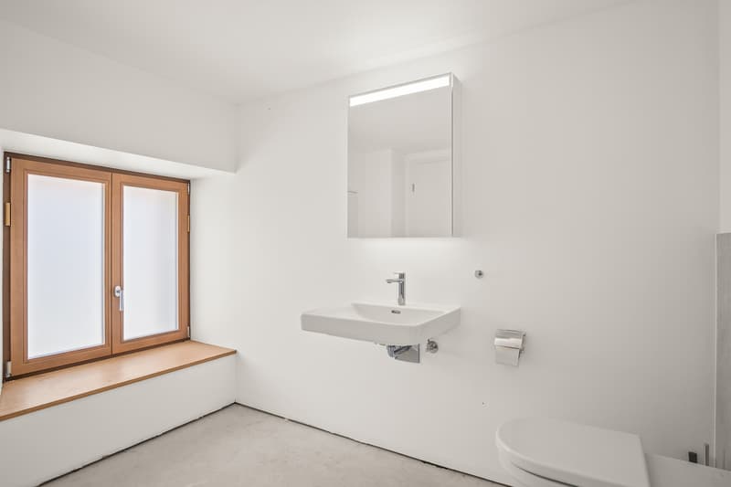 Raro! Indiscusso charme per questa superficie in un ambiente verde (5)