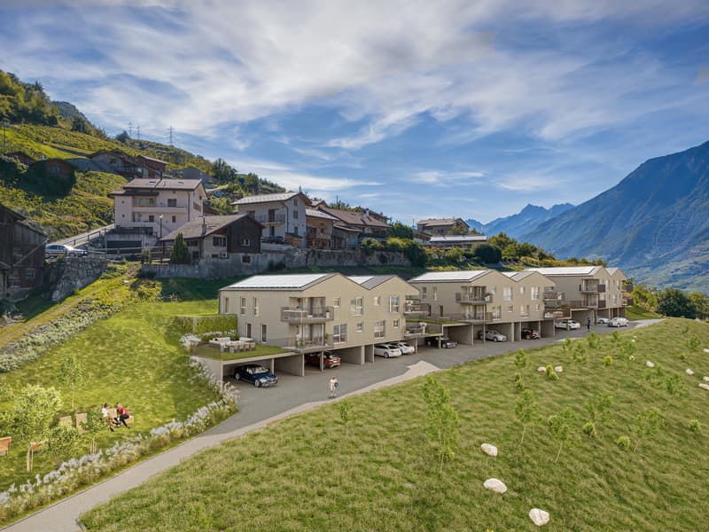 12 APPARTEMENTS À VENDRE À SAXON (2)