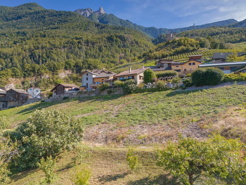 12 APPARTEMENTS À VENDRE À SAXON (7)