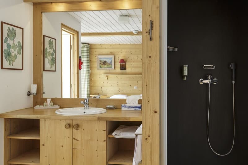 The Grand Chalet of Bovets, renovated with the charm of yesteryear, 14 rooms (12)