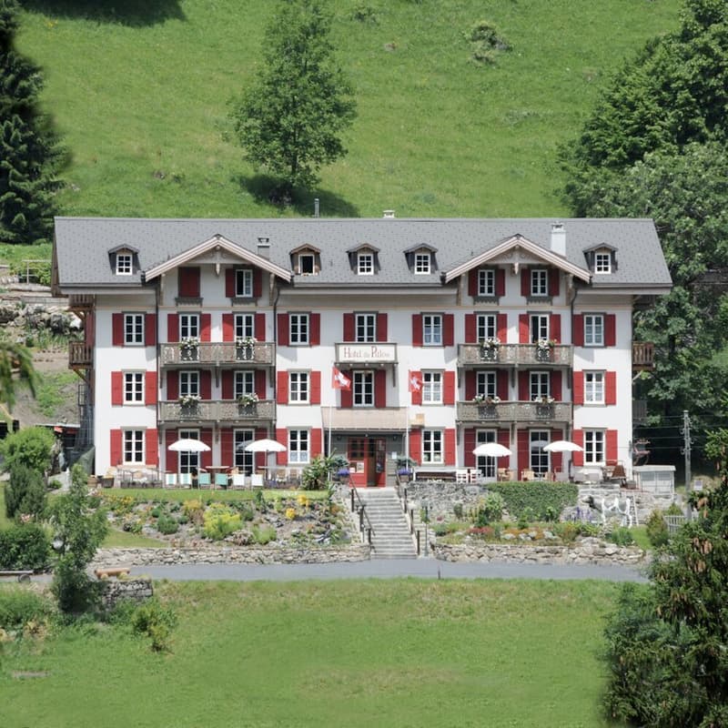 The Grand Chalet of Bovets, renovated with the charm of yesteryear, 14 rooms (5)