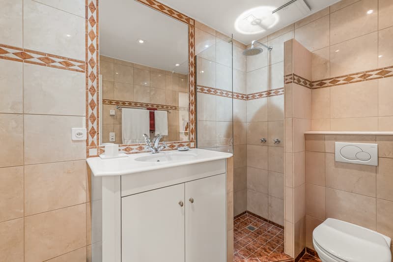 Superbe propriété située dans un quartier résidentiel calme (10)