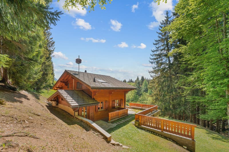Un refuge alpin au coeur de la nature - clairière privée & art de vivre alpin Animaux alpins devant la fenêtre au quotidien ! (12)