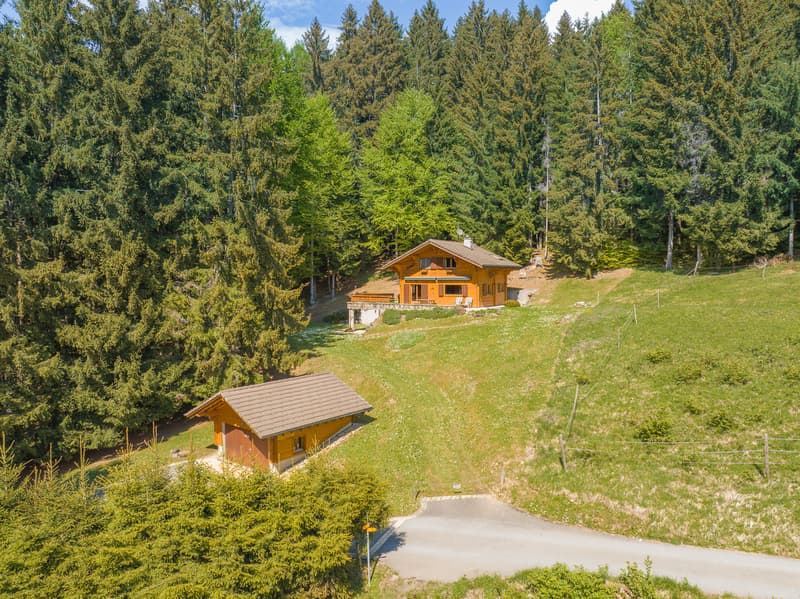 Un refuge alpin au coeur de la nature - clairière privée & art de vivre alpin Animaux alpins devant la fenêtre au quotidien ! (1)