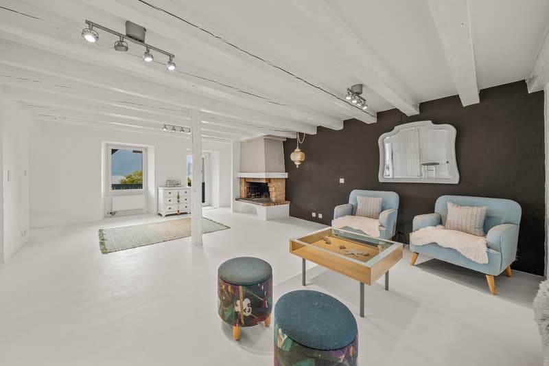 Exceptional winemaker's house in the heart of the old town with a lake view (3)