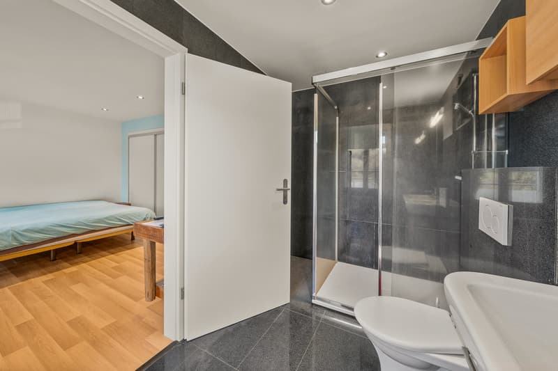 Beautiful individual house in a quiet and residential area (12)