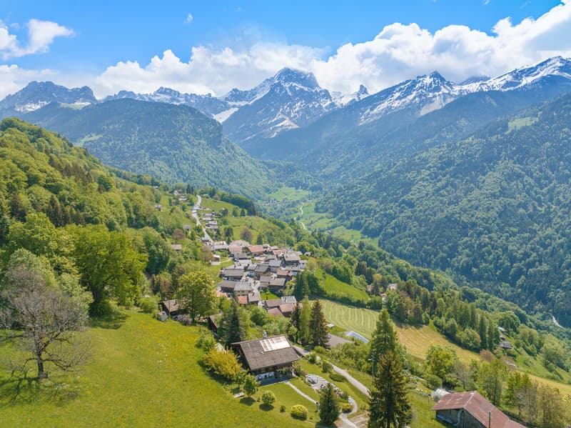 Proche de Gryon - Panorama d'exception sur le Muveran et Dents-du-Midi Chalet spacieux sans nuisance avec 2.5 pces indépendant (4)