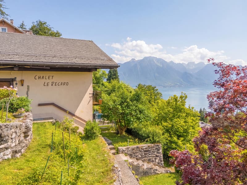 Chalet with exceptional panorama over Lake Geneva! (3)