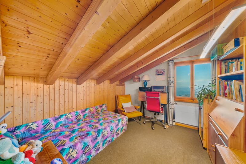 Chalet with exceptional panorama over Lake Geneva! (11)