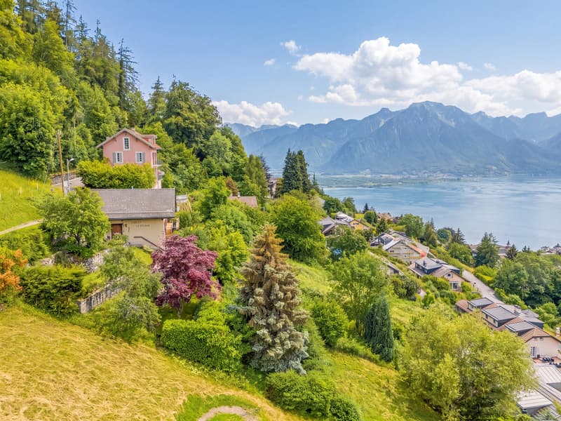Chalet with exceptional panorama over Lake Geneva! (4)