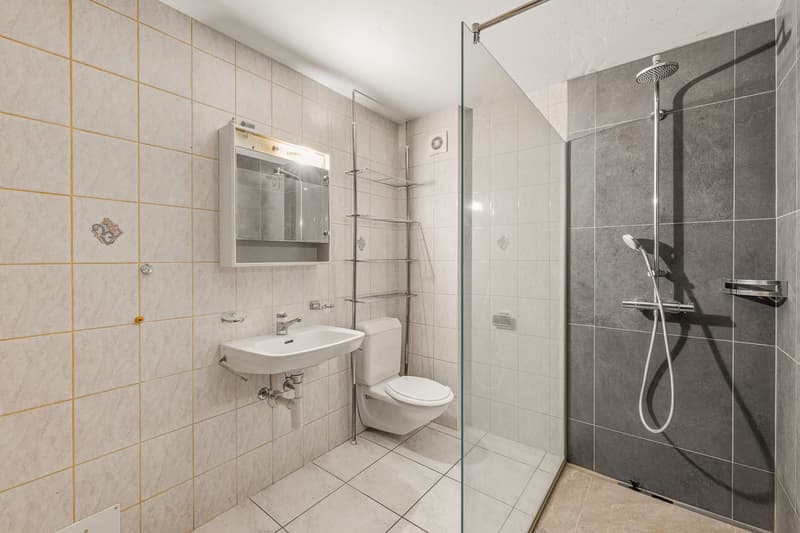 Geräumiges Duplex im Herzen des Dorfes (8)