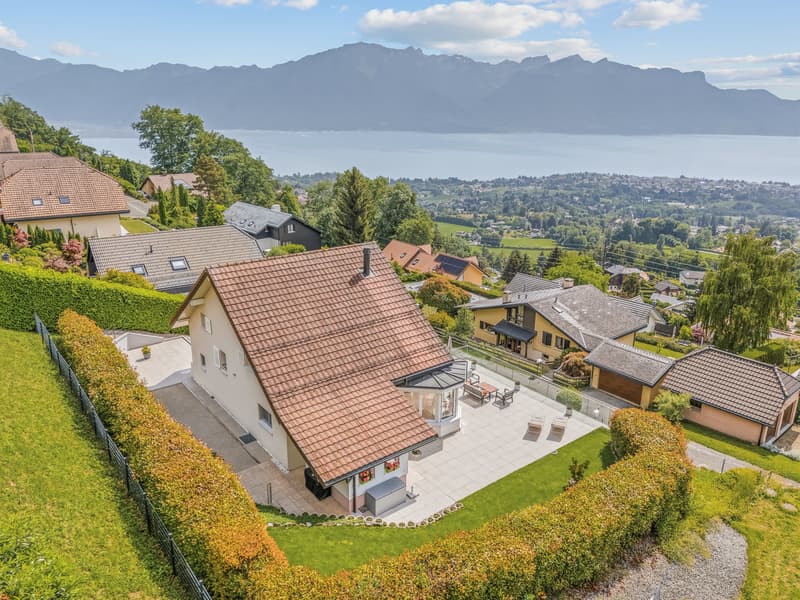 Architekten-Villa - eine Oase der Ruhe mit Blick auf den Genfersee (4)