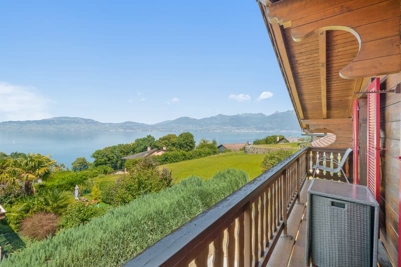 Vista impareggiabile sul Lago di Ginevra, calma assoluta (11)