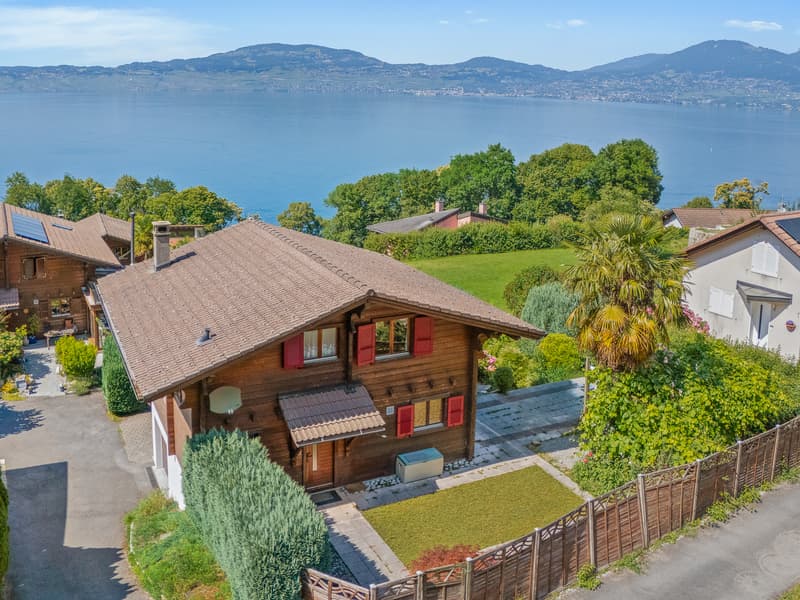 Vista impareggiabile sul Lago di Ginevra, calma assoluta (10)