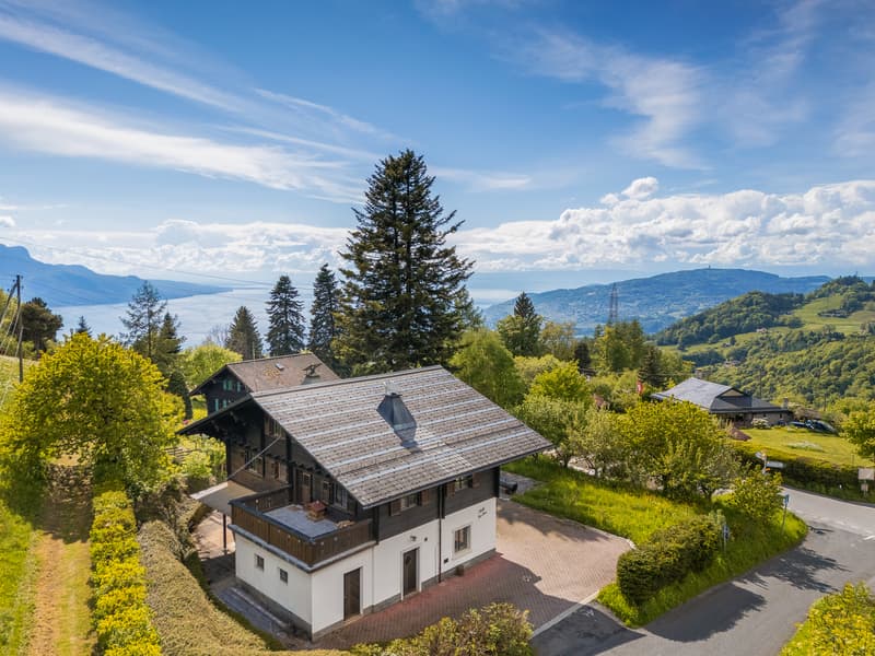 Au coeur des narcisses Chalet avec vue lac ! (1)