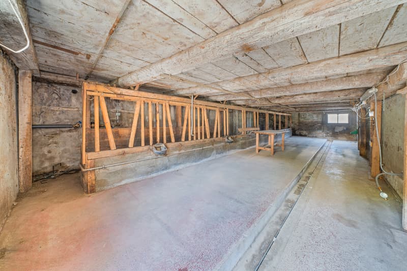 Autentico chalet vallesano da reinventare (10)