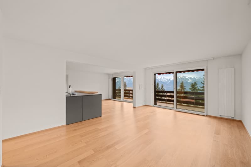 Einzigartige Gelegenheit geräumige Wohnung in einer friedlichen Umgebung mit Seeblick (4)
