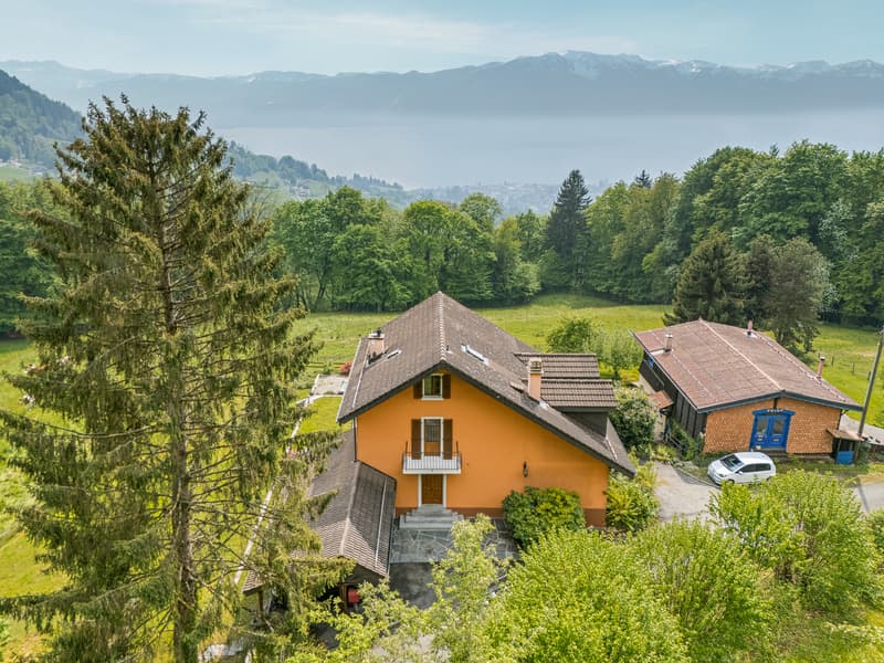 Superbe maison individuelle offrant une magnifique vue sur le lac (13)
