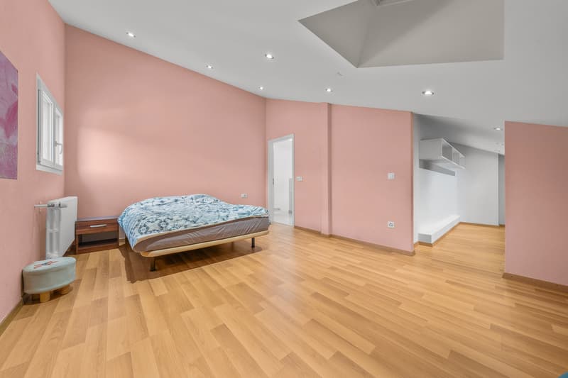 Magnifique maison individuelle dans un quartier calme et résidentiel (10)