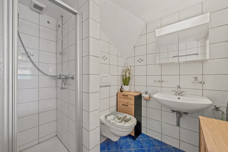 Superbe maison familiale dans un secteur prisé (7)
