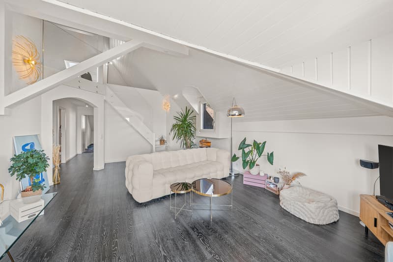 Superbe duplex alliant confort, vue lac et situation privilégiée (1)