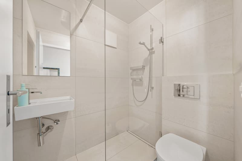 Superbe duplex alliant confort, vue lac et situation privilégiée (12)