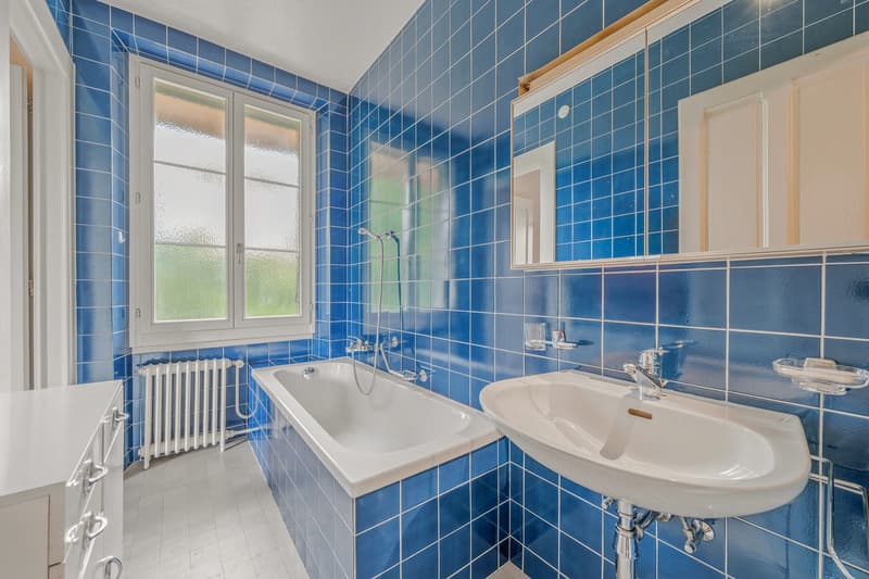 Rare & unique ! Maison de maître de 1912 - Quartier Saint-Martin (11)
