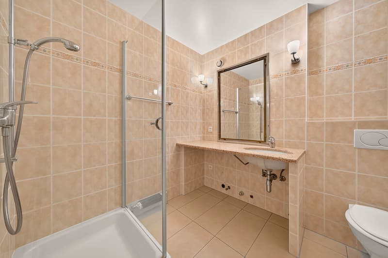 Magnifique appartement de 5 pcs à Lausanne, quartier privilégié (11)