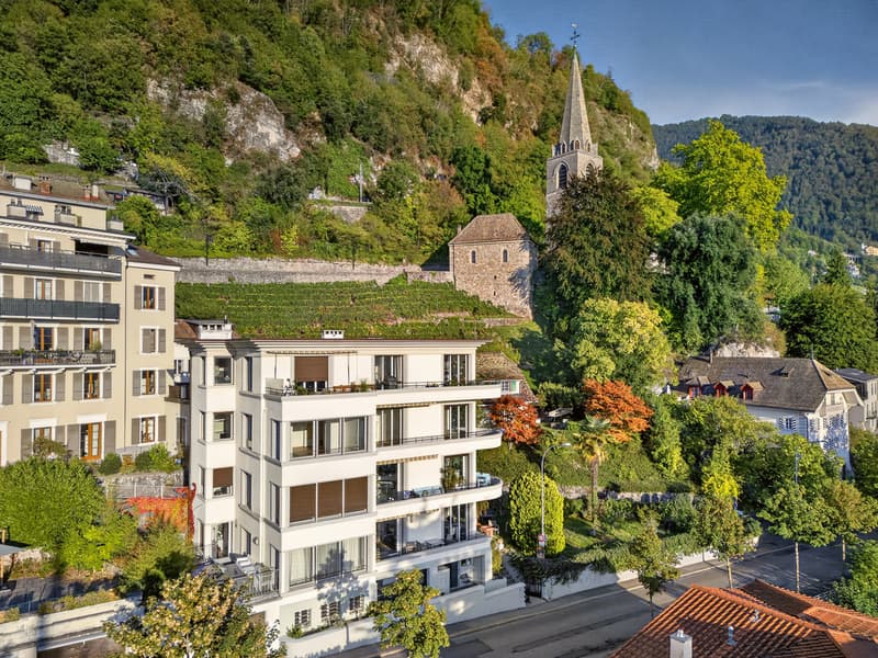 Superbe appartement de 3,5 pas spacieux avec vue imprenable sur le lac (9)
