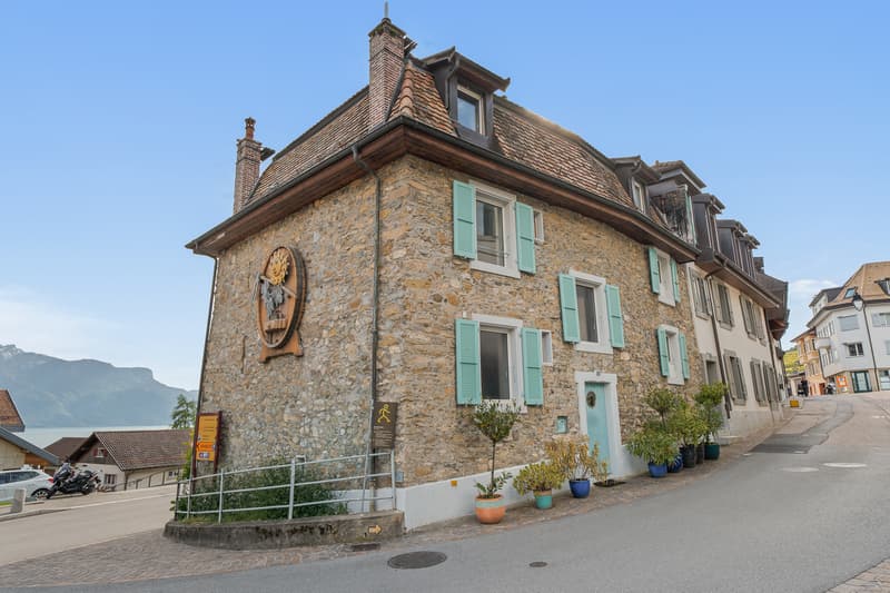 Maison vigneronne d'exception au coeur du vieux bourg avec vue lac (1)