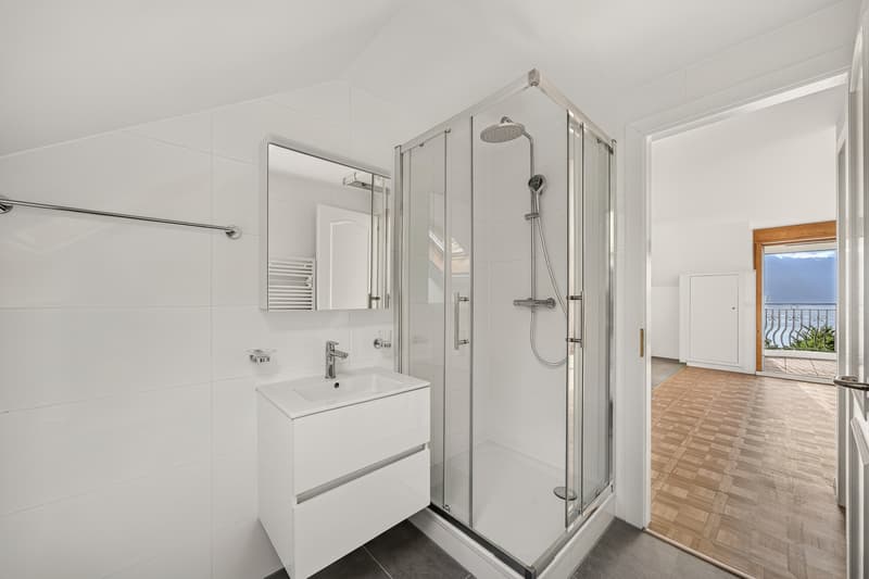 Spacieux 2.5 pces -/ 3.5 pces Vue - tranquilité- Foreigners sale (6)