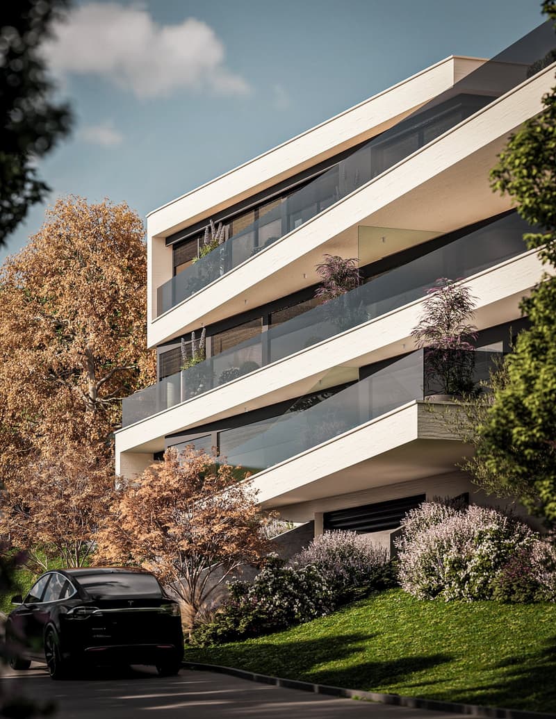 Vista lago Birrwil – stiloso, moderno e a contatto con la natura. (2)