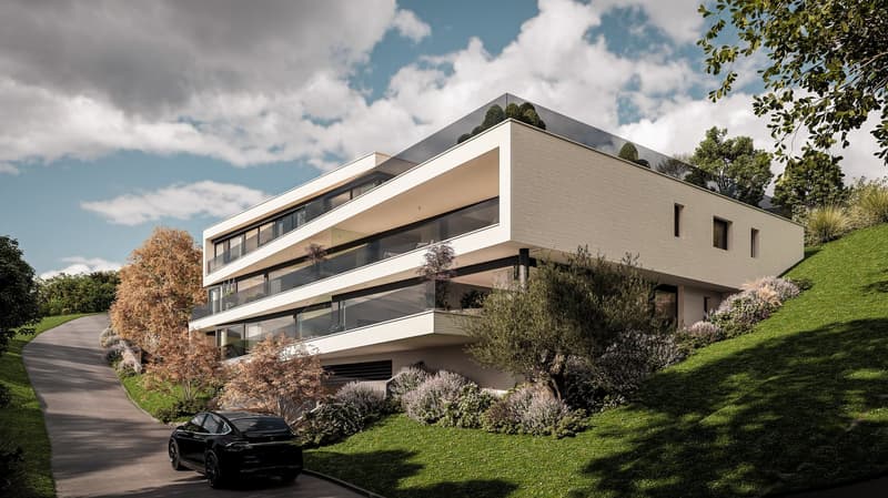 Lake View Birrwil – stylish, modern, and close to nature. (2)