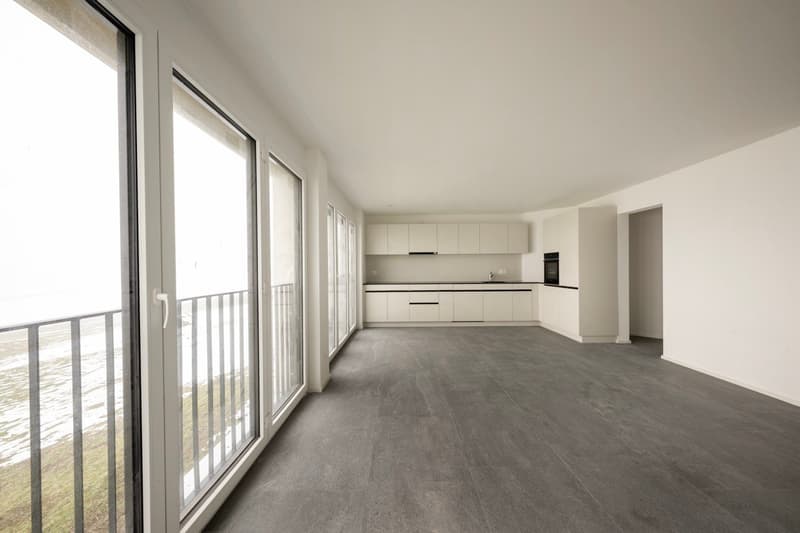 open layout, sliding doors, balcony, kitchen, grey tiles