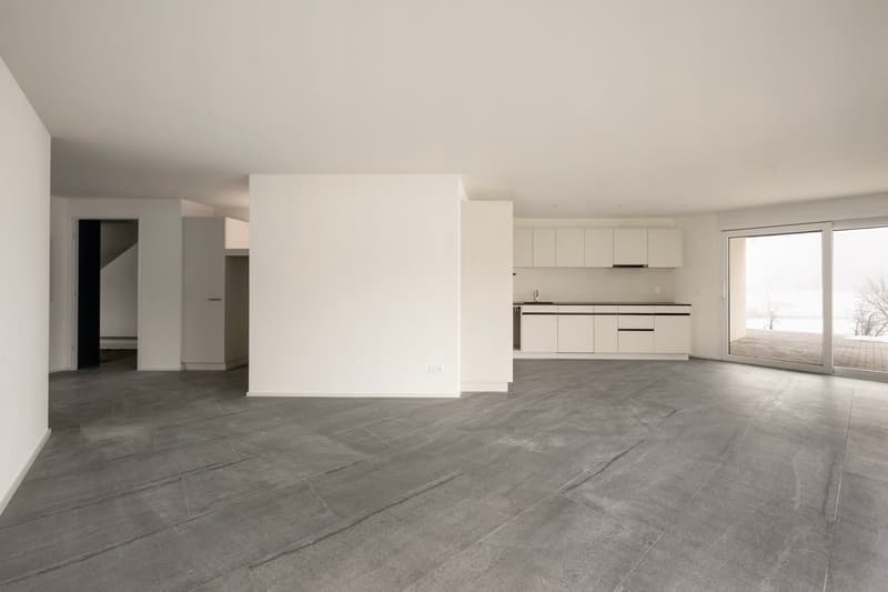 minimalistic design, large open space, gray tiled floor, white walls, sliding glass door, and bright lighting