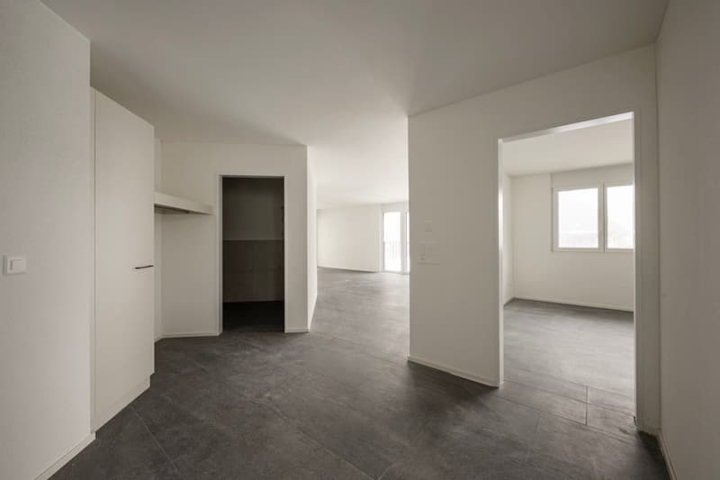 empty room, tile floor, white walls, windows, closet