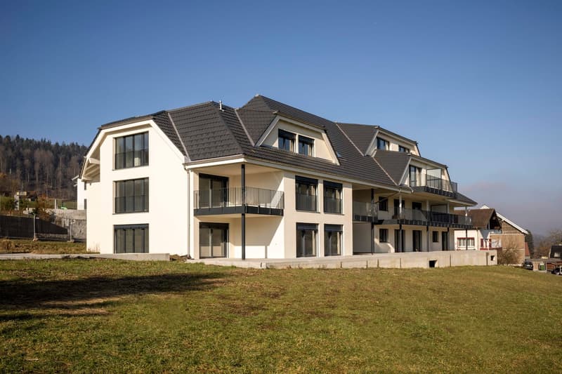 Ihr neues Zuhause in Bottenwil: 2.5-Zimmer-Wohnung mit privater Loggia (1)
