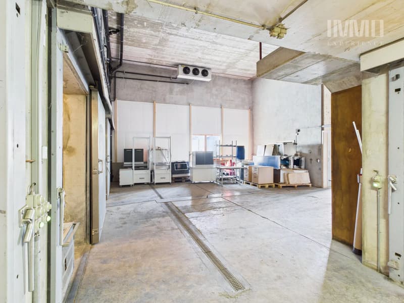 Warehouse hall with cold rooms and two studios (9)