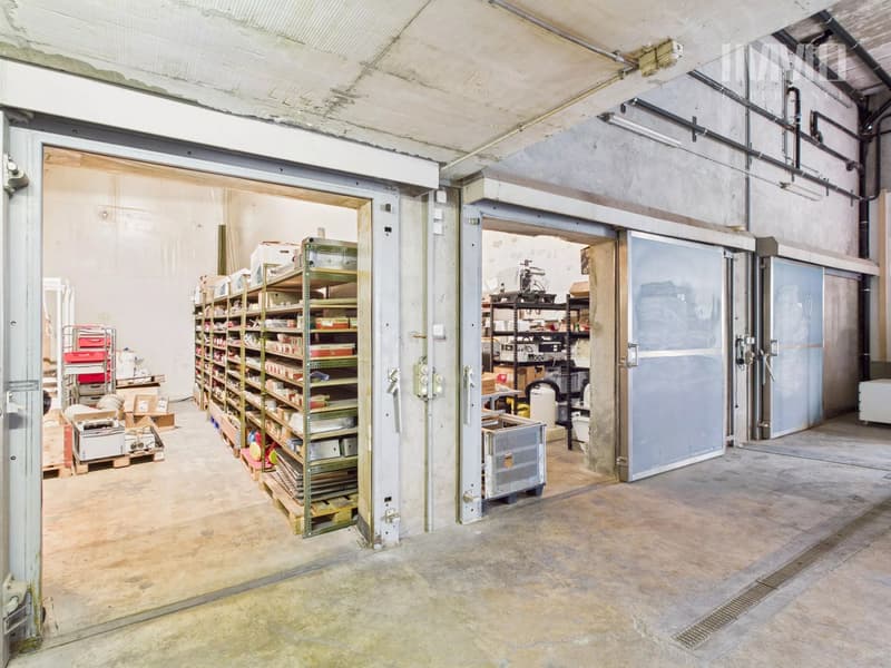 Warehouse hall with cold rooms and two studios (7)