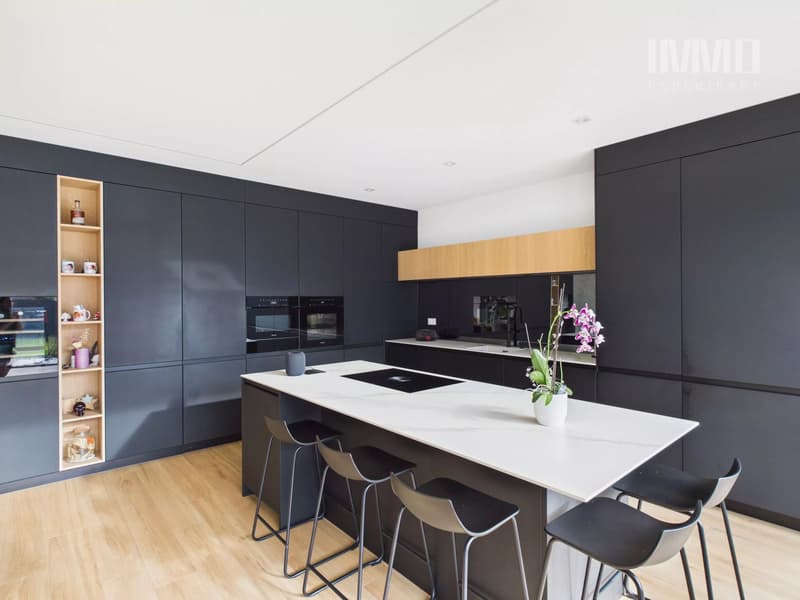 Exceptional contemporary villa (4)