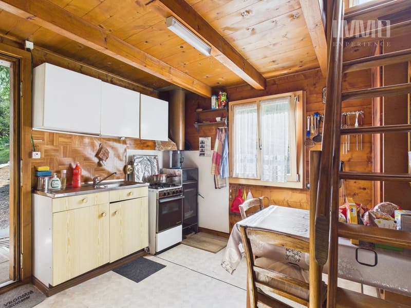 Chalet in Haute-Nendaz "Le Lavantier" - A haven of peace in the heart of nature: (3)
