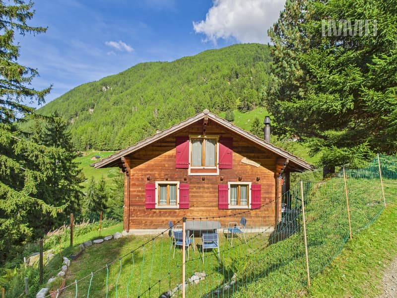 Chalet in Haute-Nendaz "Le Lavantier" - A haven of peace in the heart of nature: (2)