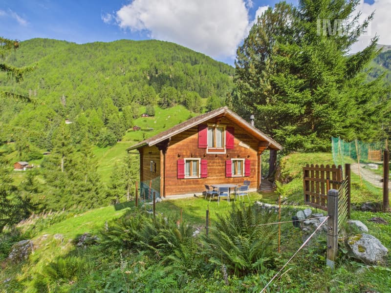 Chalet in Haute-Nendaz "Le Lavantier" - A haven of peace in the heart of nature: (1)