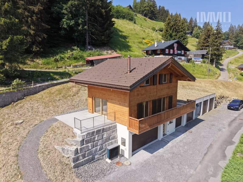 New Chalet 4.5 rooms - Les Giettes (2)
